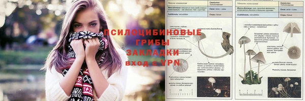 дмт Медвежьегорск