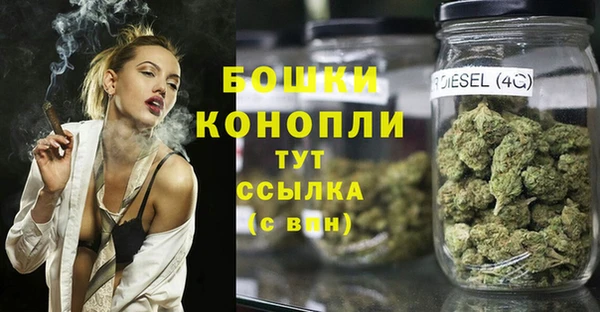 PSILOCYBIN Майский