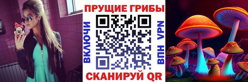 Галлюциногенные грибы Psilocybe  ОМГ ОМГ маркетплейс  Нерчинск 